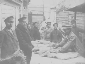 Меховое производство в Нижегородской губернии в начале XX века